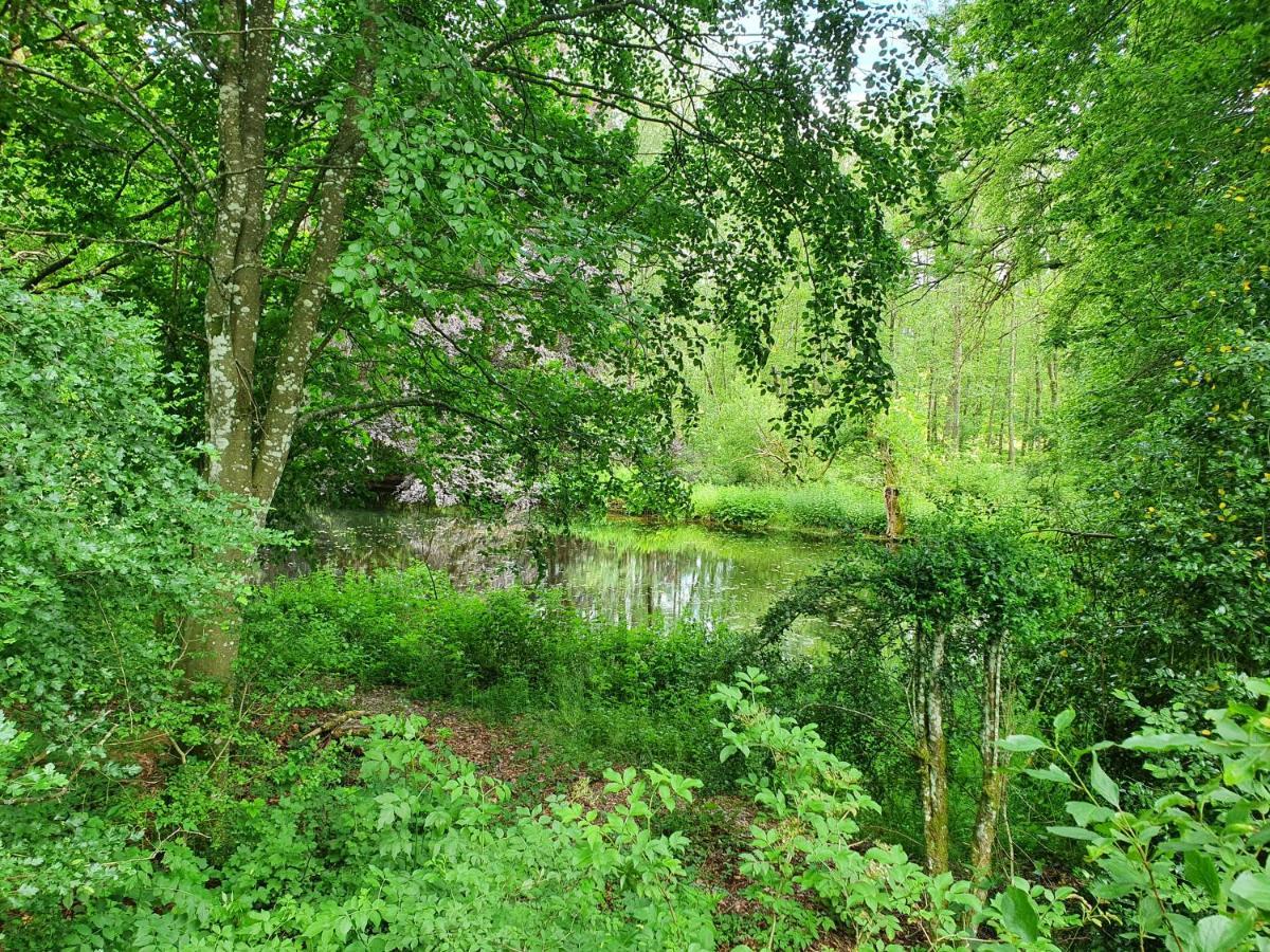 Sur La Rive Vierre Villa Suxy Exteriör bild