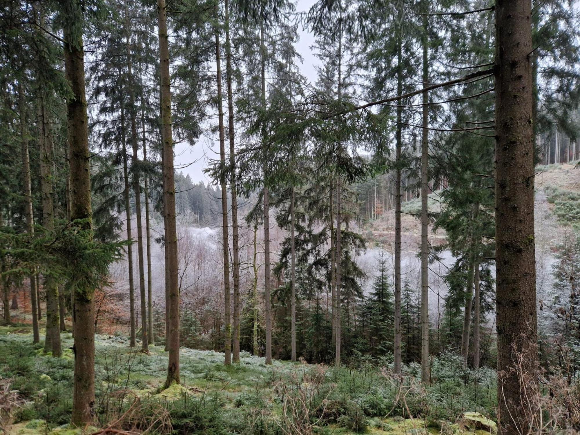 Sur La Rive Vierre Villa Suxy Exteriör bild